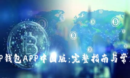 如何下载TP钱包APP中国版：完整指南与常见问题解答