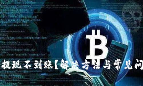 TP钱包提现不到账?解决方法与常见问题解析